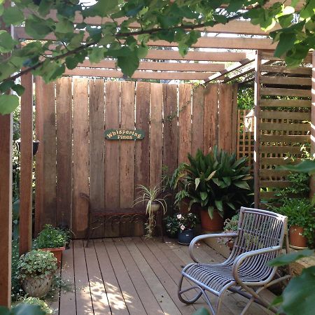 Collie Whispering Pines Bed And Breakfast מראה חיצוני תמונה