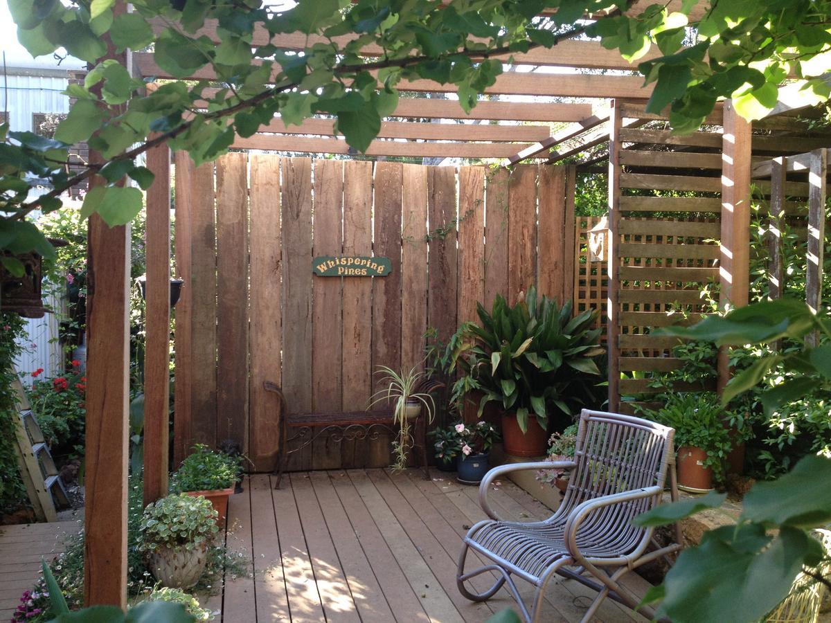 Collie Whispering Pines Bed And Breakfast מראה חיצוני תמונה