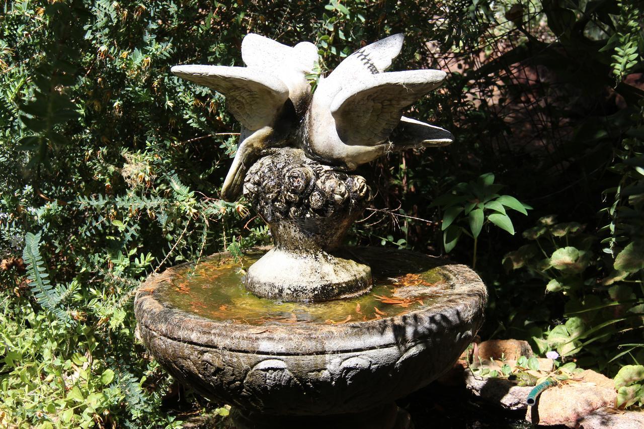Collie Whispering Pines Bed And Breakfast מראה חיצוני תמונה