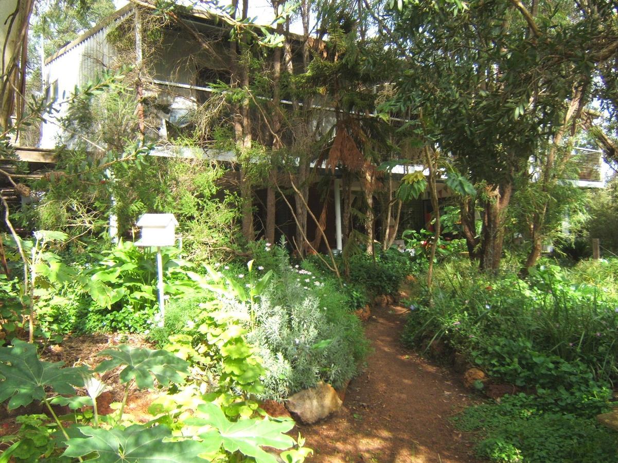 Collie Whispering Pines Bed And Breakfast מראה חיצוני תמונה