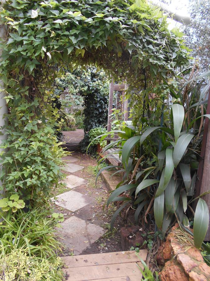 Collie Whispering Pines Bed And Breakfast מראה חיצוני תמונה