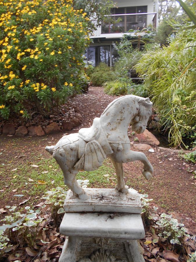 Collie Whispering Pines Bed And Breakfast מראה חיצוני תמונה